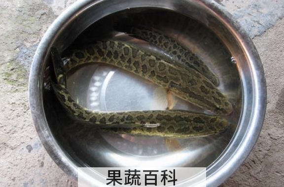 果蔬百科吃黑鱼的好处有哪些