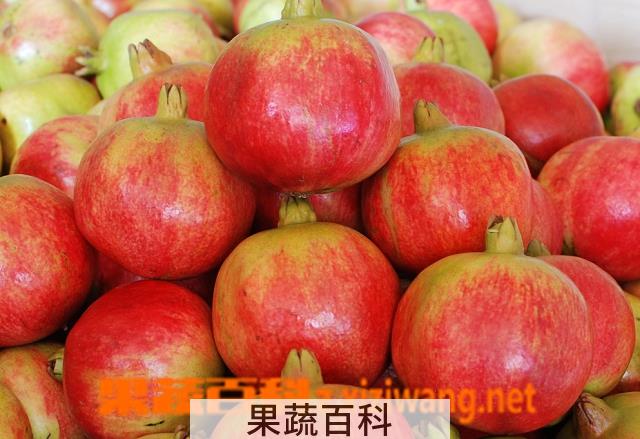 果蔬百科石榴