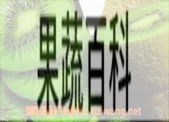 果蔬百科猕猴桃