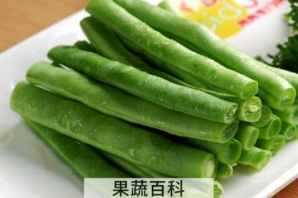 果蔬百科四季豆的营养价值与功效