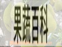 果蔬百科大树菠萝