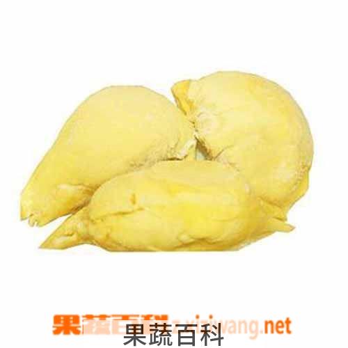 果蔬百科榴莲