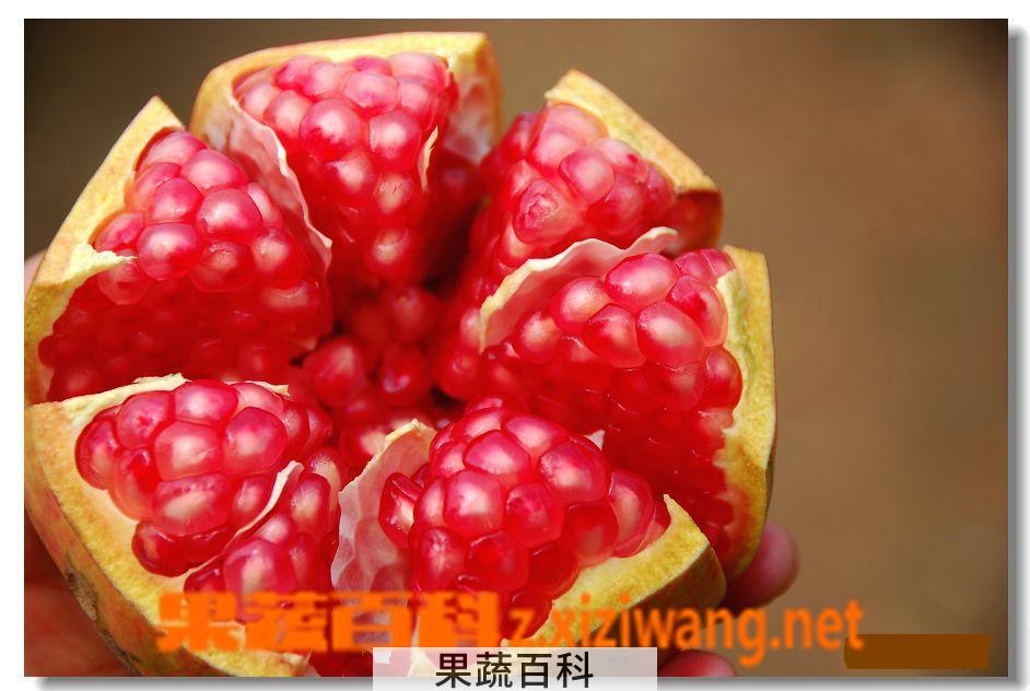 果蔬百科石榴