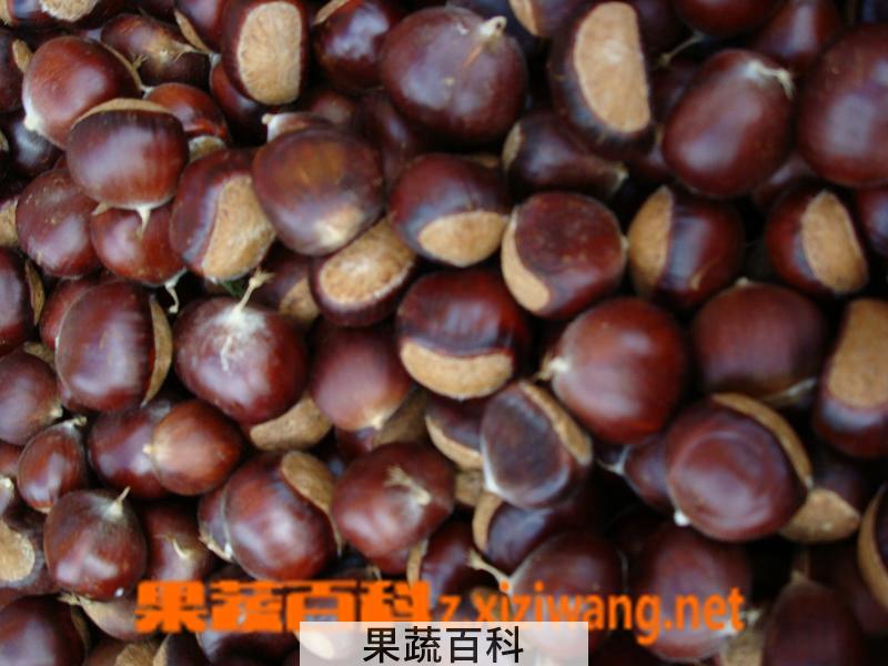果蔬百科粟子