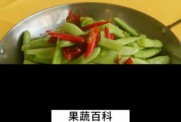 果蔬百科吃四季豆要注意什么