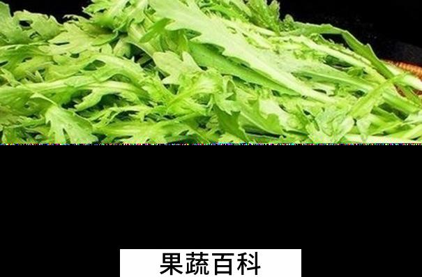 果蔬百科菊花菜的功效与作用