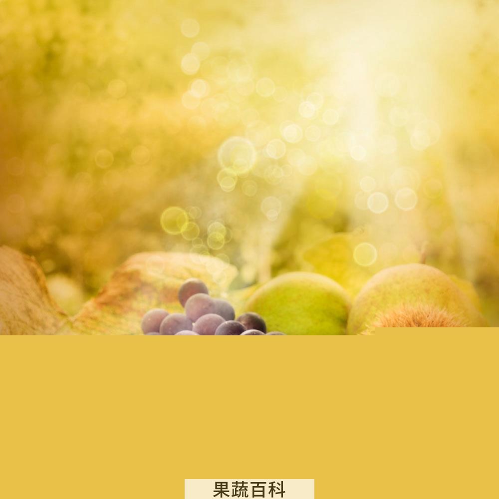 果蔬百科水果如何保鲜