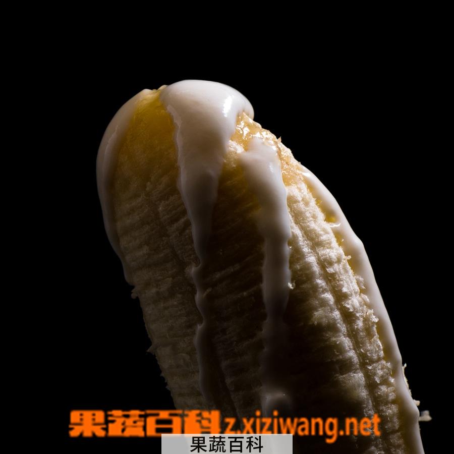果蔬百科香蕉