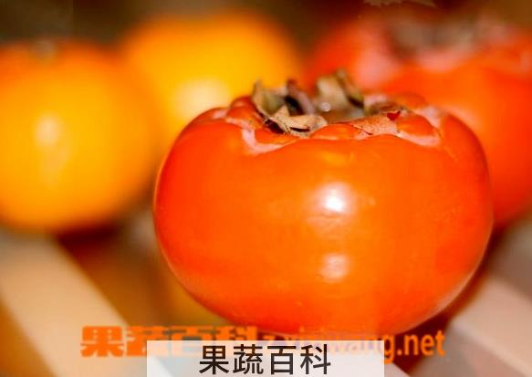 果蔬百科吃柿子有什么好处