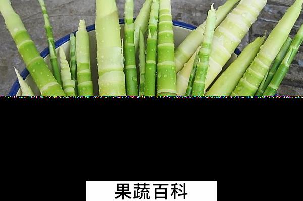 果蔬百科竹笋的营养价值与功效