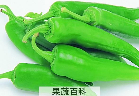 果蔬百科青椒的功效与作用