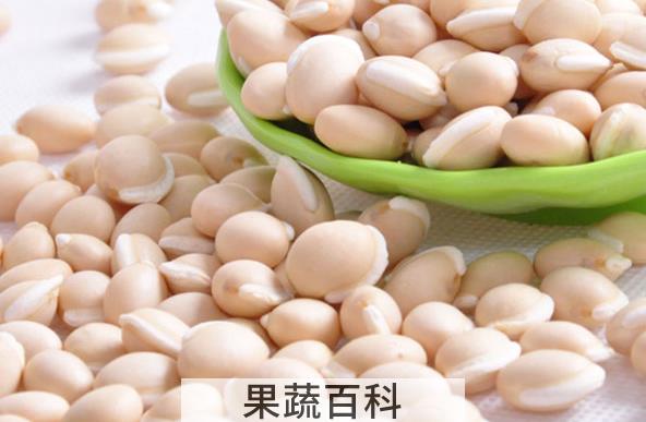果蔬百科白扁豆的药用价值与功效