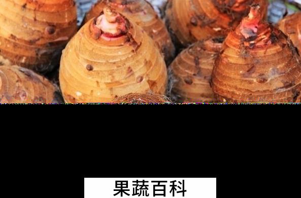 果蔬百科香芋的功效与作用