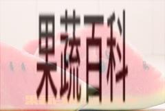 果蔬百科西瓜