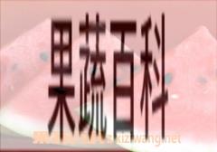 果蔬百科西瓜什么时候吃