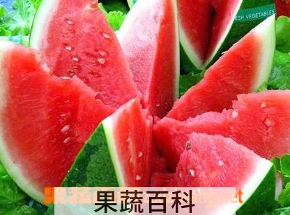 果蔬百科西瓜的功效与作用