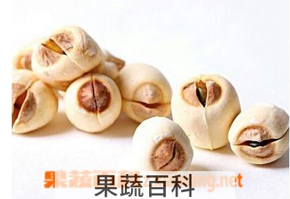 果蔬百科莲子
