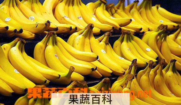 果蔬百科香蕉