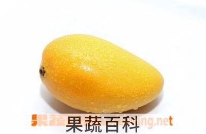 果蔬百科芒果
