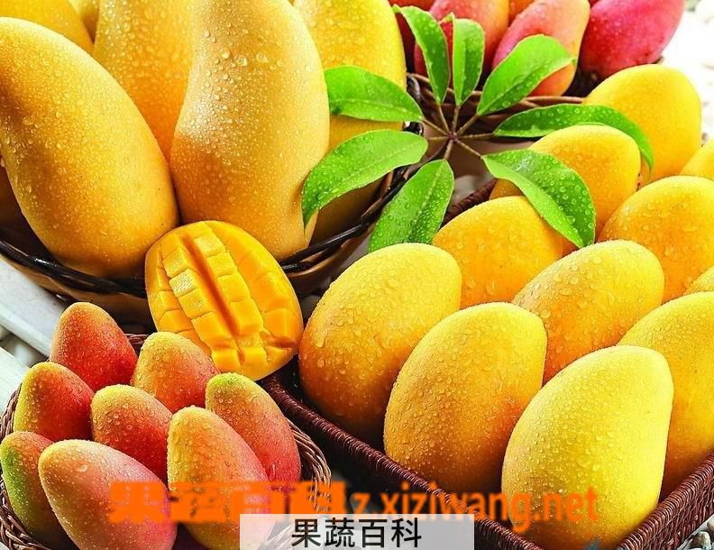 果蔬百科芒果