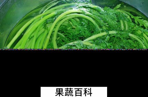 果蔬百科雪里红的功效与作用