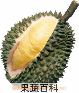 果蔬百科榴莲