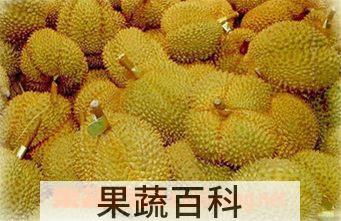 果蔬百科榴莲