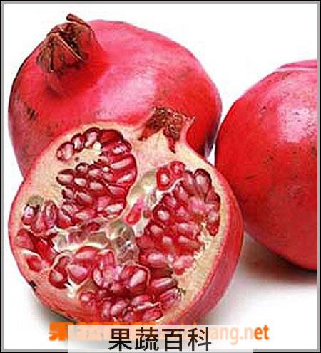 果蔬百科石榴