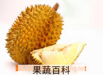 果蔬百科榴莲