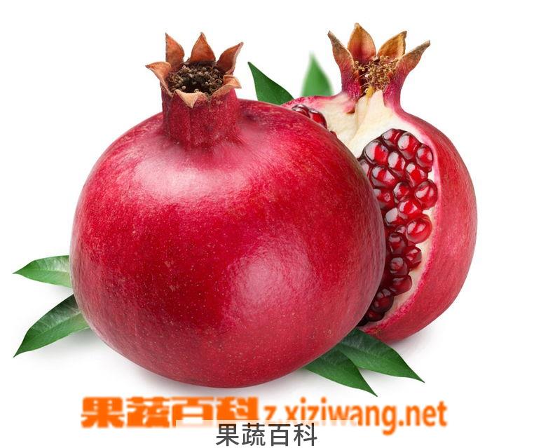 果蔬百科石榴