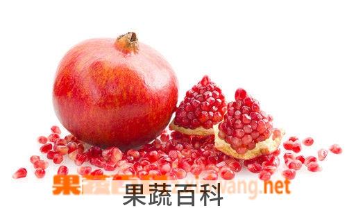 果蔬百科石榴