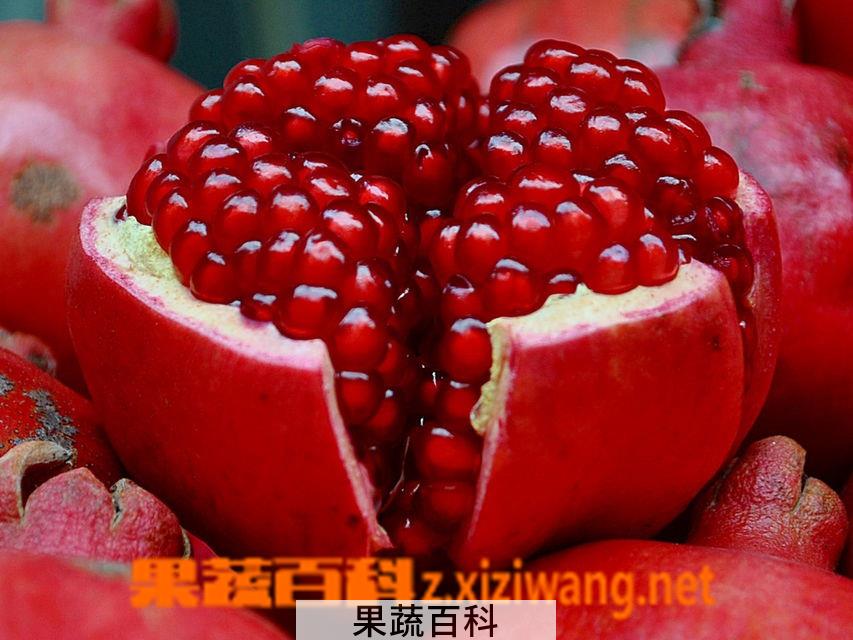 果蔬百科石榴