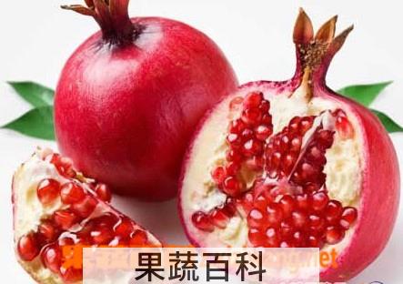果蔬百科石榴