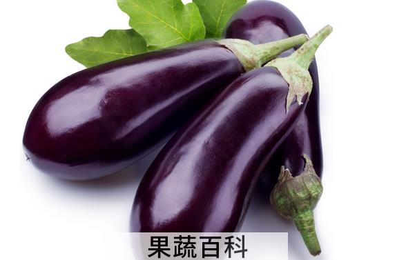 果蔬百科茄子的功效与作用