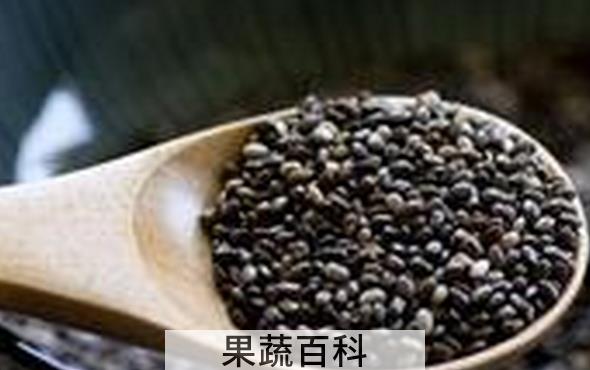果蔬百科奇亚籽的功效与作用