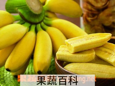 果蔬百科香蕉