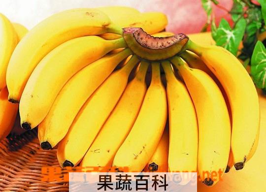 果蔬百科香蕉