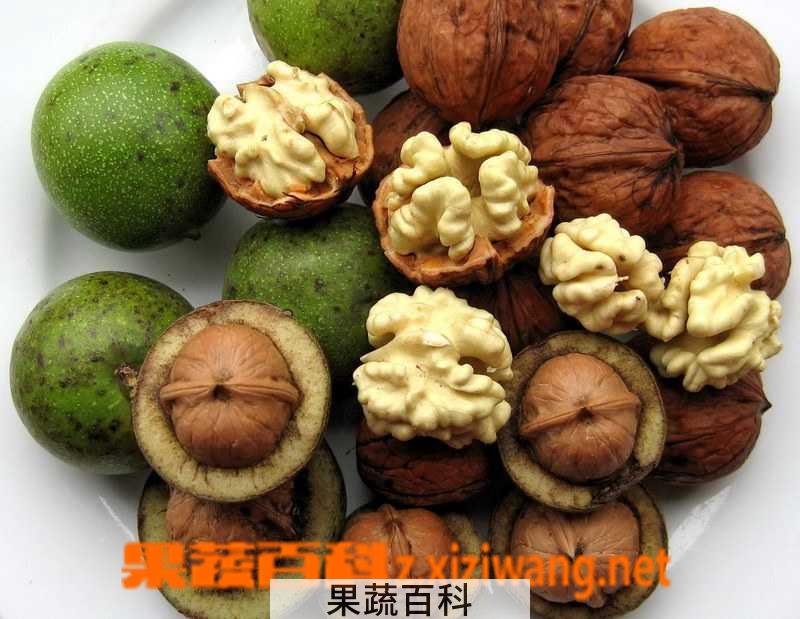 果蔬百科核桃