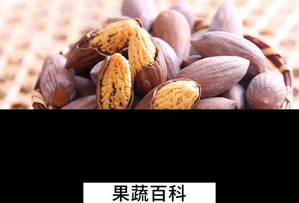 果蔬百科香榧子的功效与作用