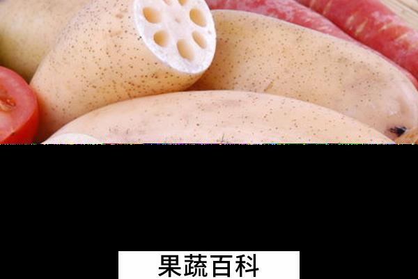 果蔬百科藕的功效与作用
