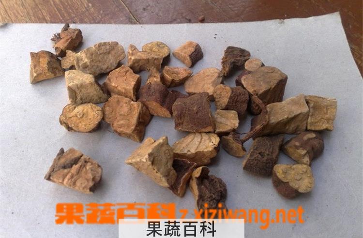 果蔬百科苍术的功效作用及食用方法