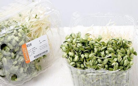 黑豆苗叶的药用价值和功效是什么 黑豆苗叶的药用价值和功效与作用