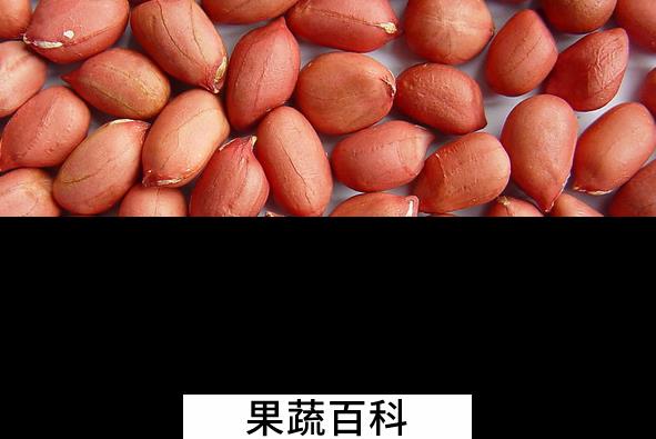 果蔬百科花生的药用价值