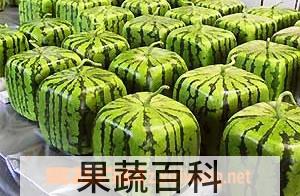 果蔬百科西瓜