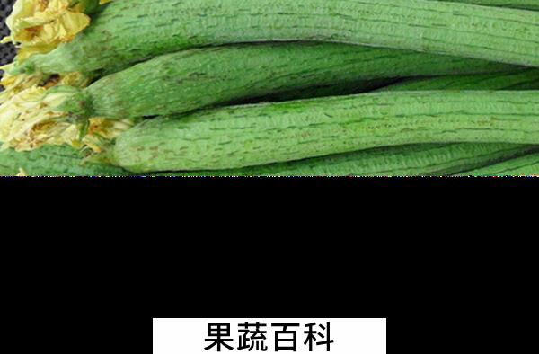 果蔬百科吃丝瓜的好处有哪些