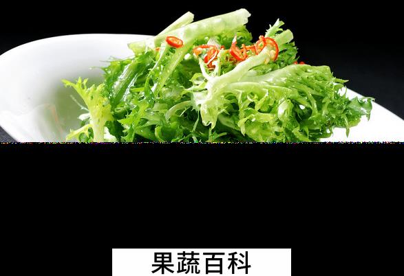果蔬百科苦菊怎么做好吃