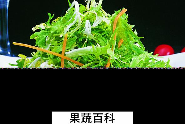 果蔬百科苦菊的功效与作用