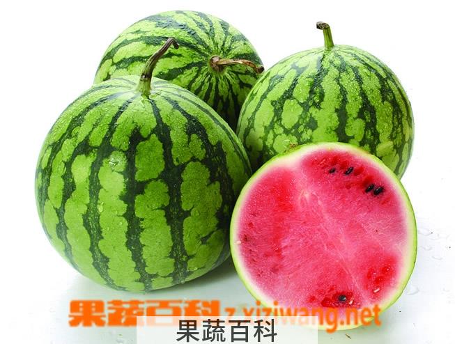 果蔬百科西瓜