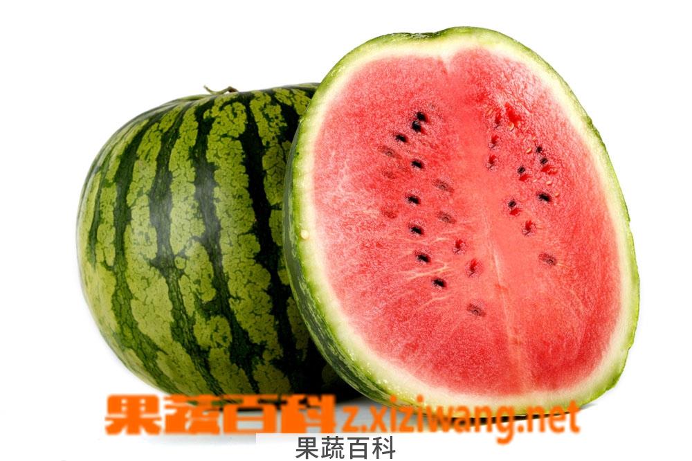 果蔬百科西瓜