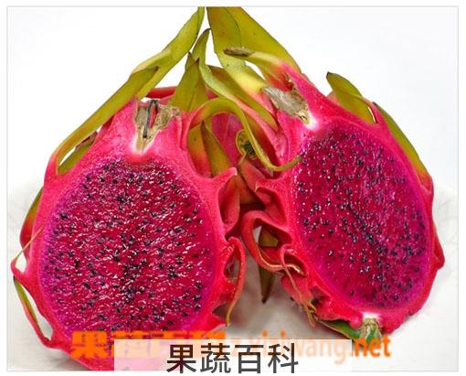 果蔬百科火龙果